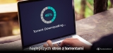 11 najlepszych stron z torrentami w 2025 roku