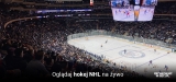 Oglądaj transmisje NHL na żywo i za darmo w 2025!