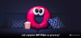 Jak oglądać WP Pilot za granicą