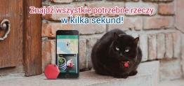 XY Find it – najlepszy lokalizator bluetooth? Recenzja